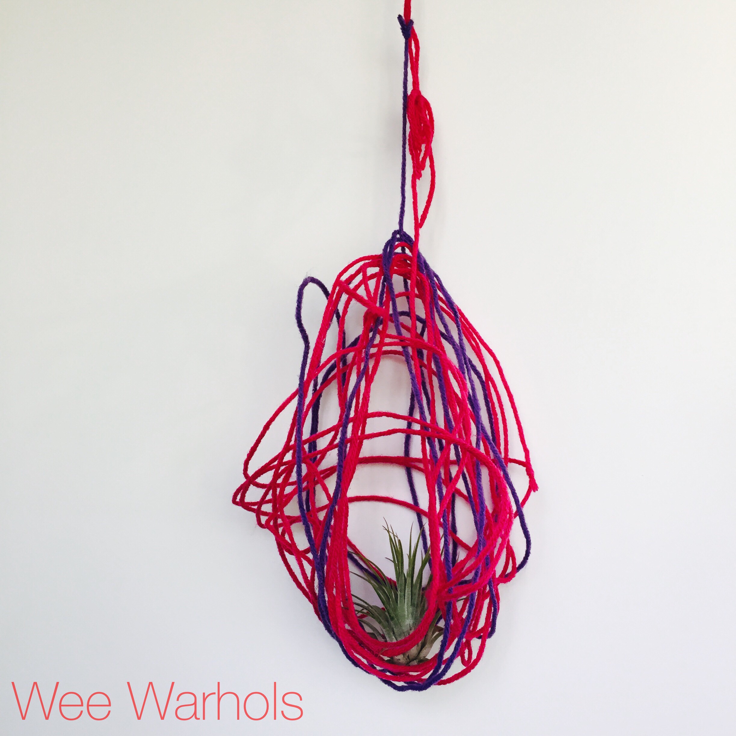 Wee Warhols, Austin, yarn, air plants, plant holder