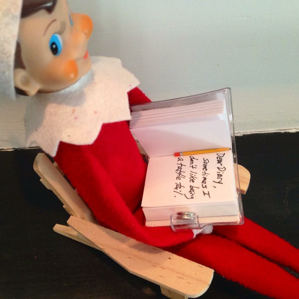 Dear Diary Elf