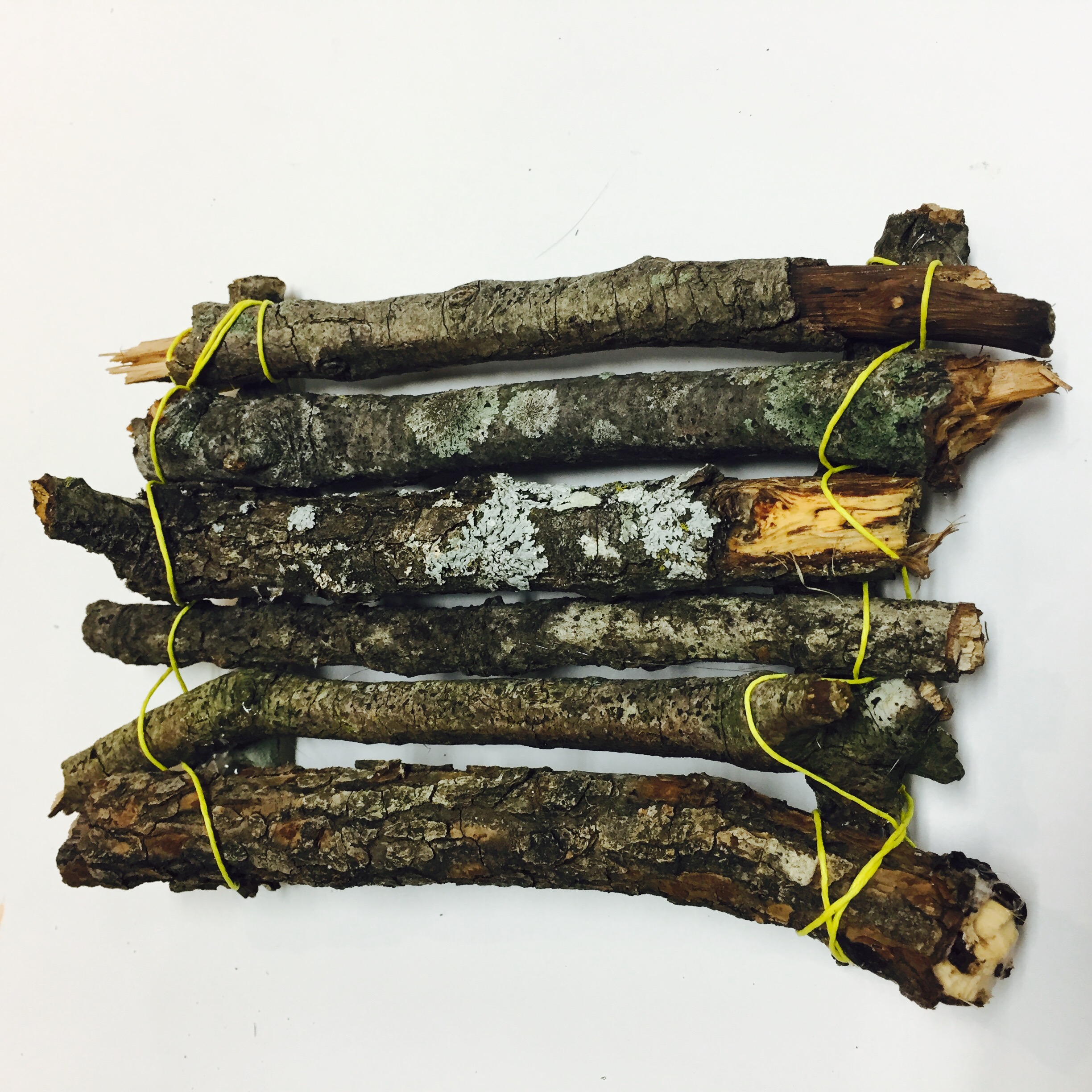 STEAM, nature project, raft, floatation, Figment Creative, Austin, TX , 28 Days of STEAM, nature raft craft