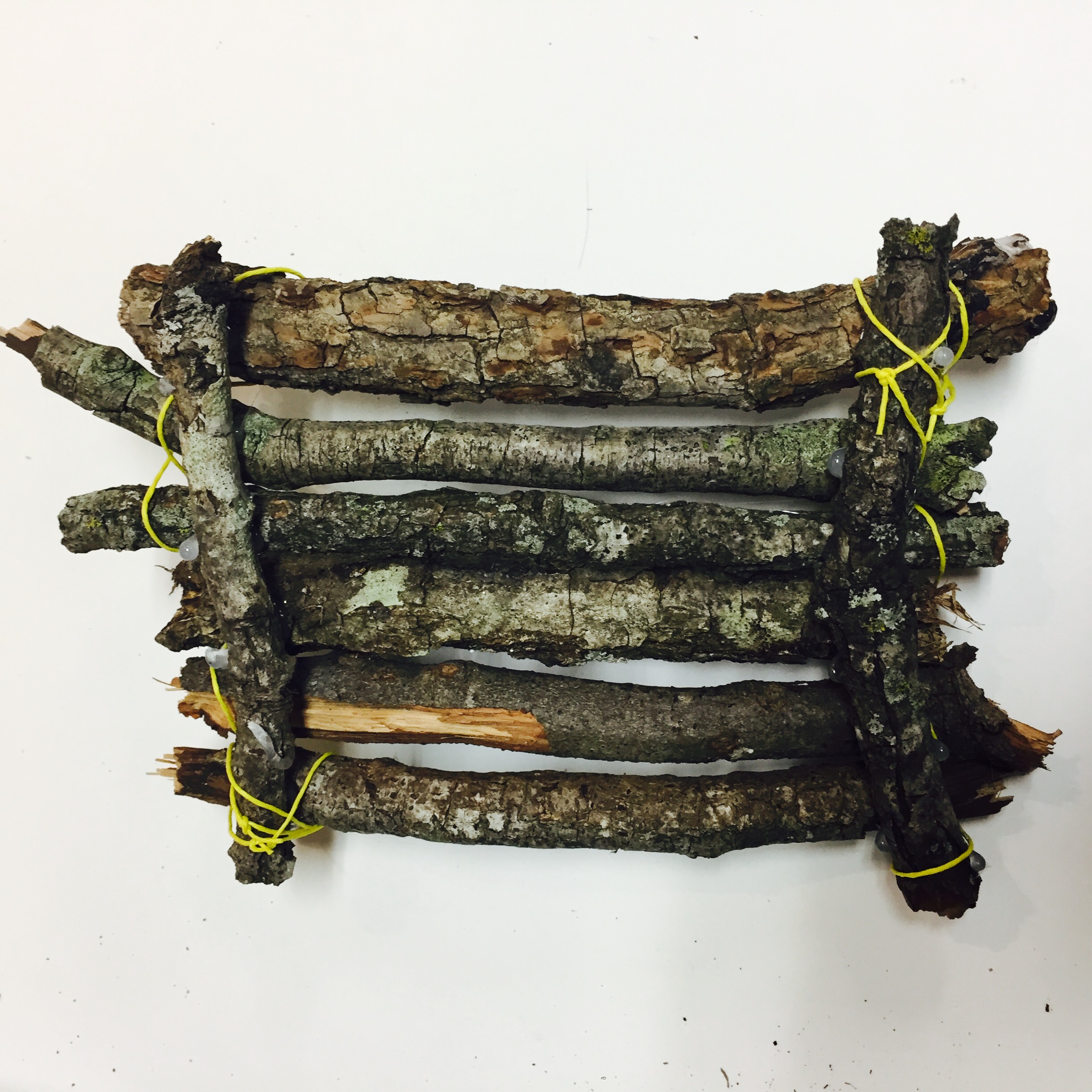 STEAM, nature project, raft, floatation, Figment Creative, Austin, TX , 28 Days of STEAM, nature raft craft