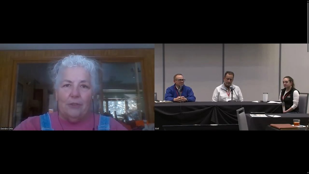 Woman speaker on Zoom with two other panelists in discussion