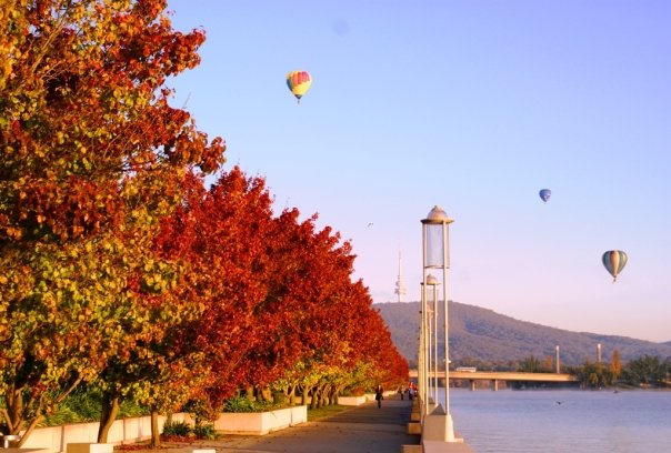 Truly Canberra!
