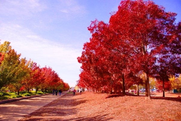 Entering the Park