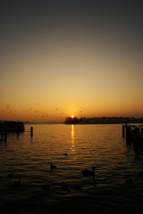 Sunset @ Großer Wannsee