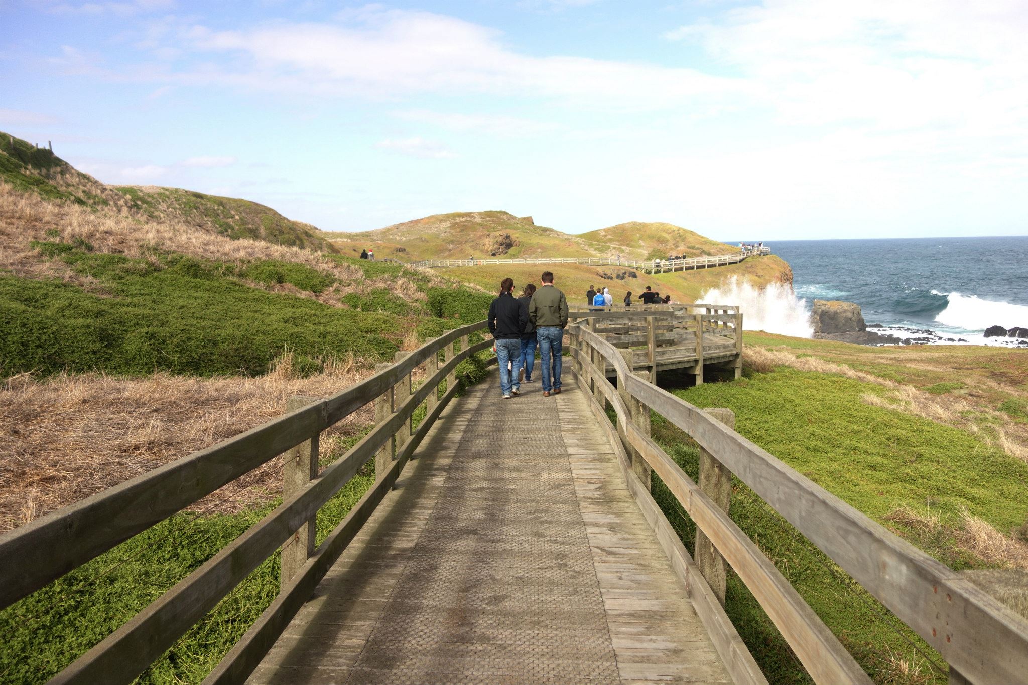 Phillip Island, the little penguin island!