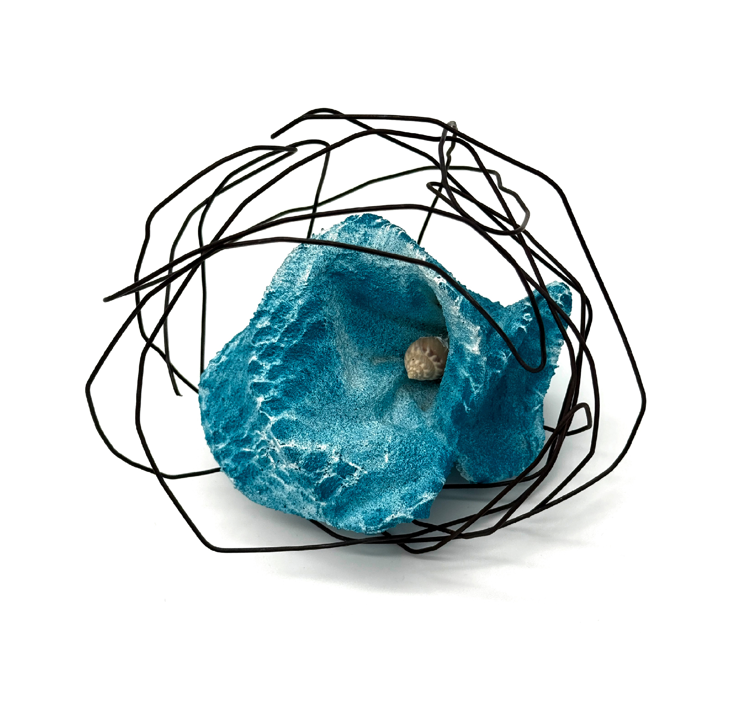 escarbat2