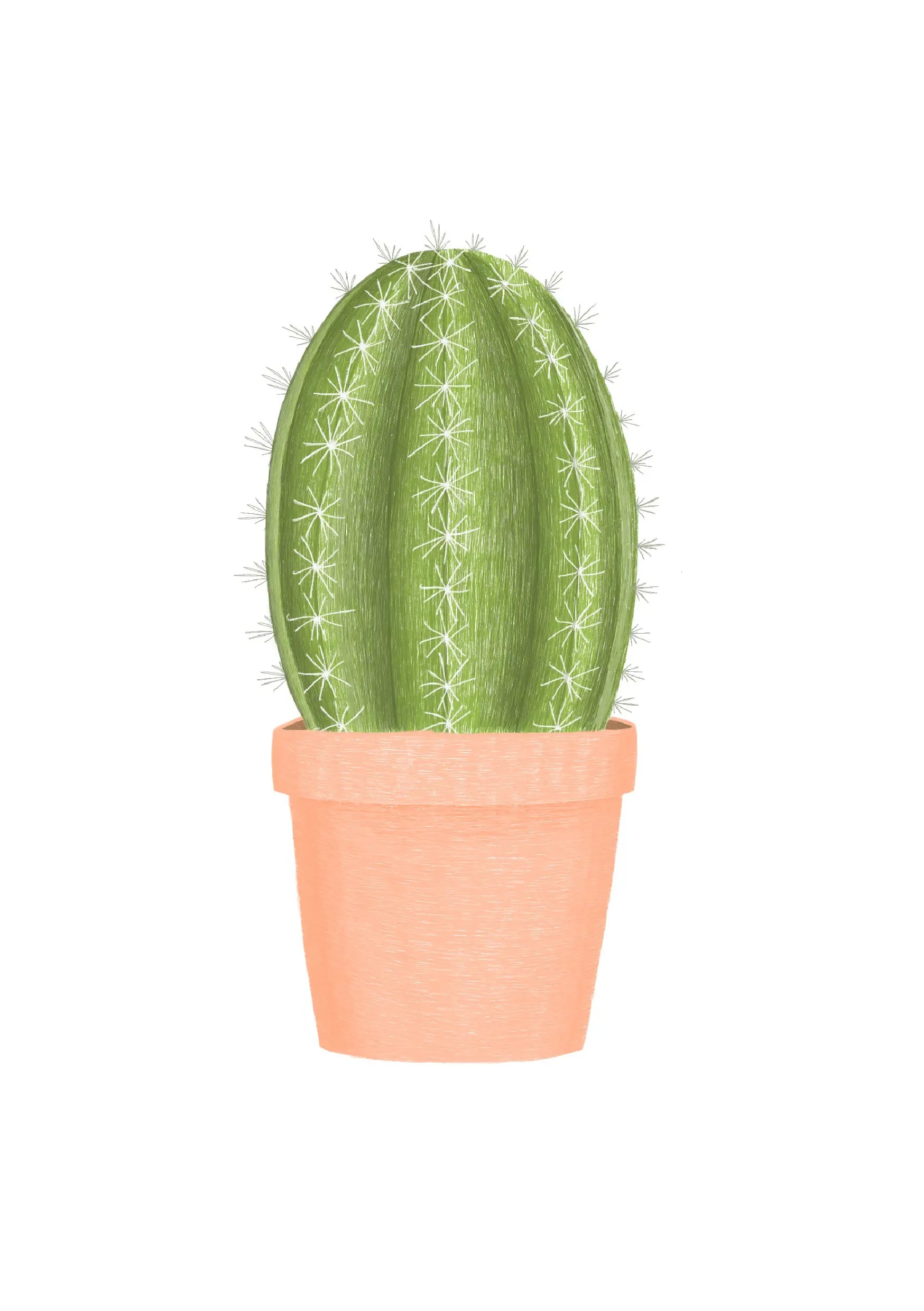 cactus1