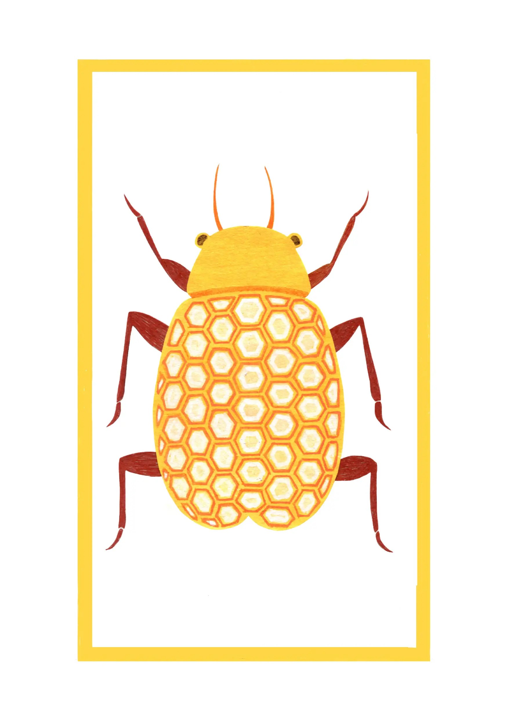 escarbat2