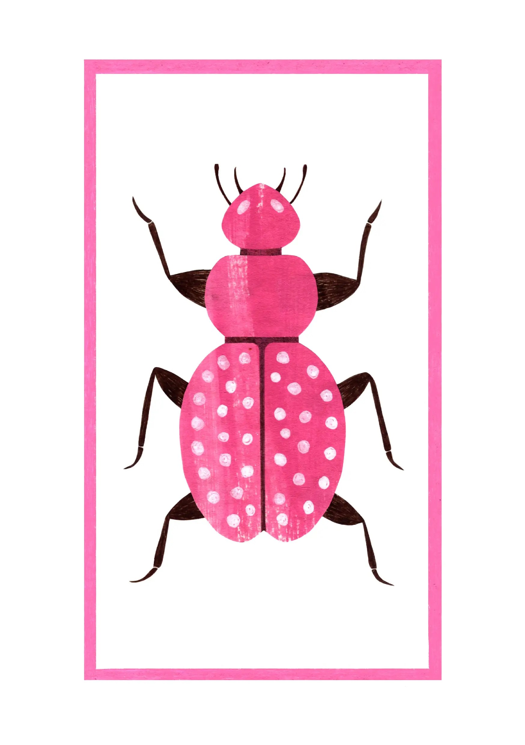 escarbat4