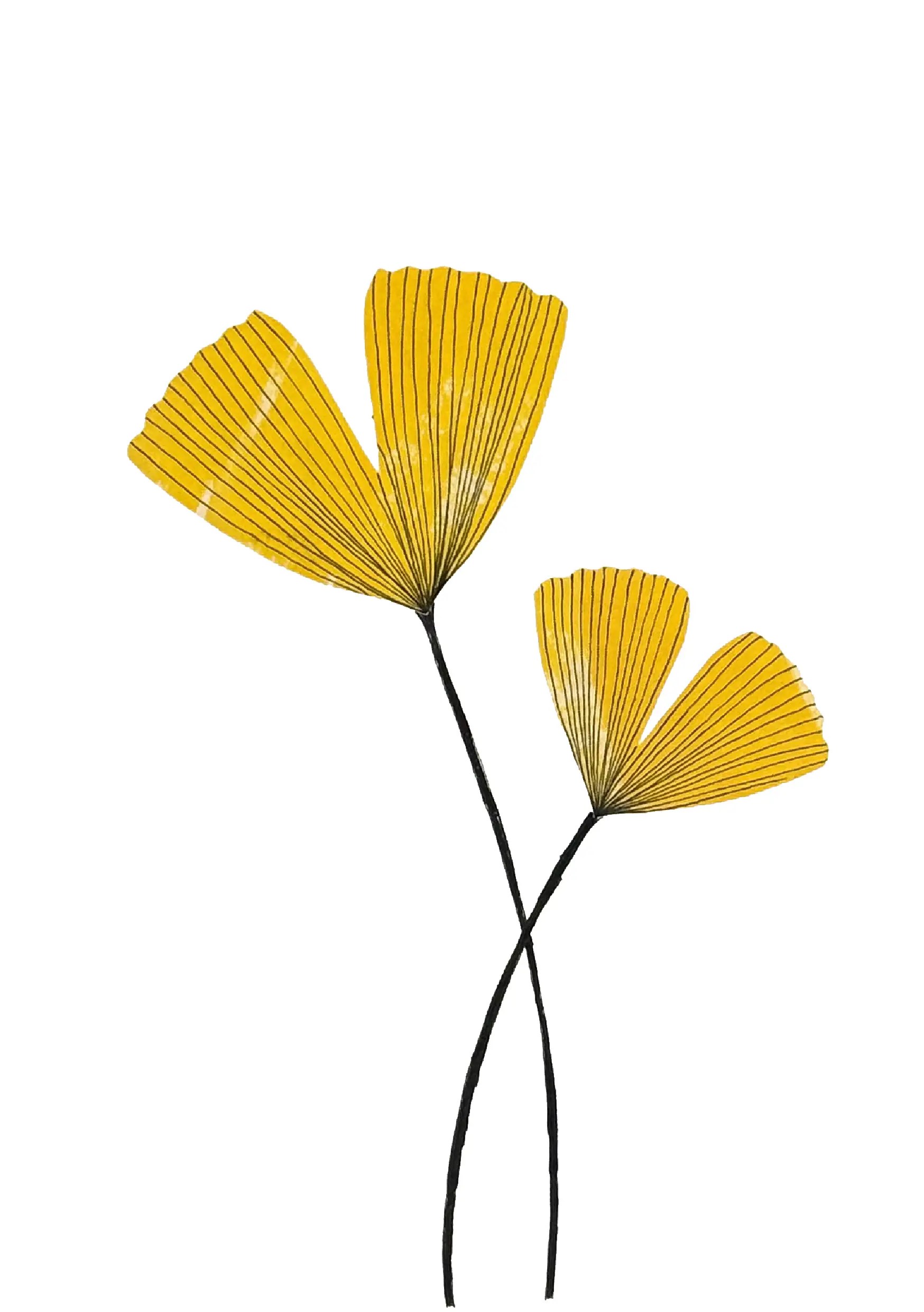 flor 7