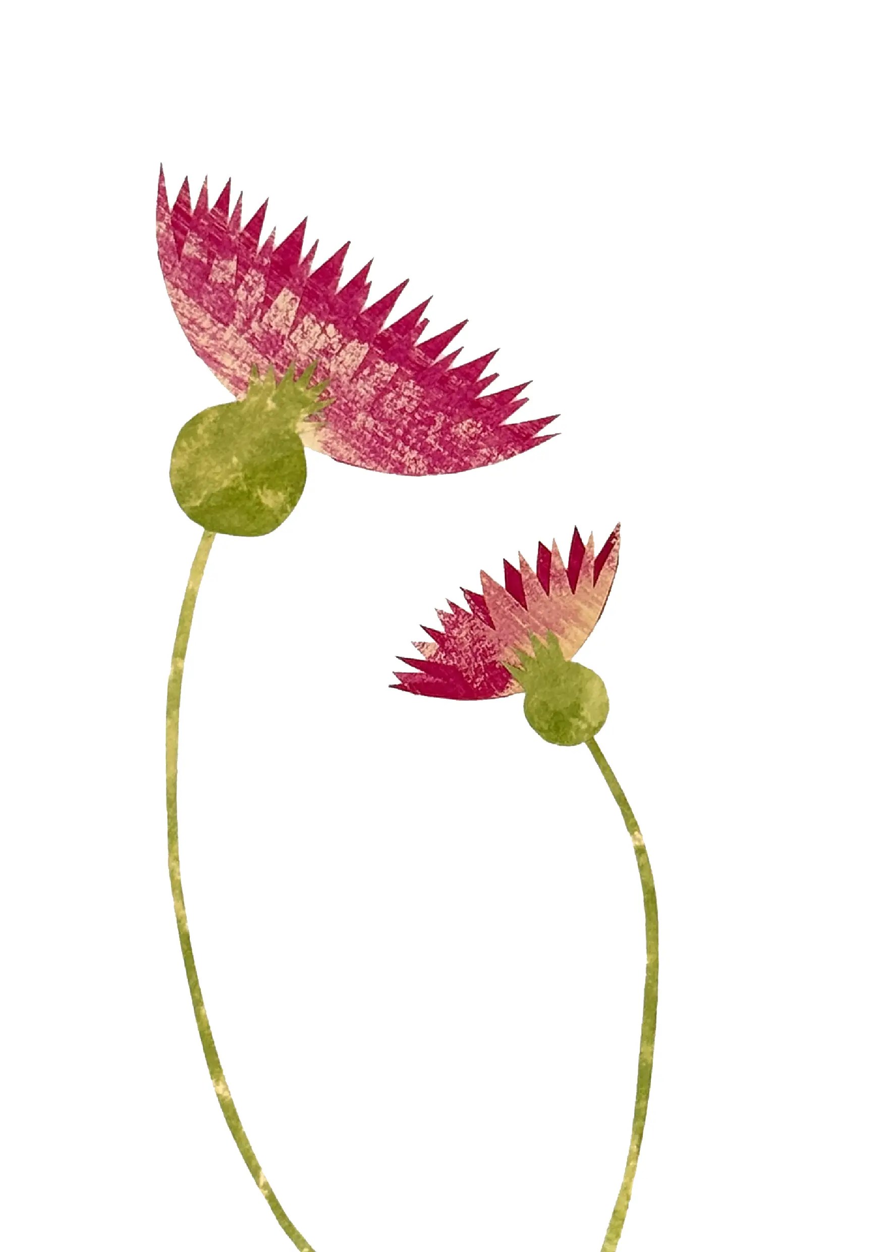 flor 8