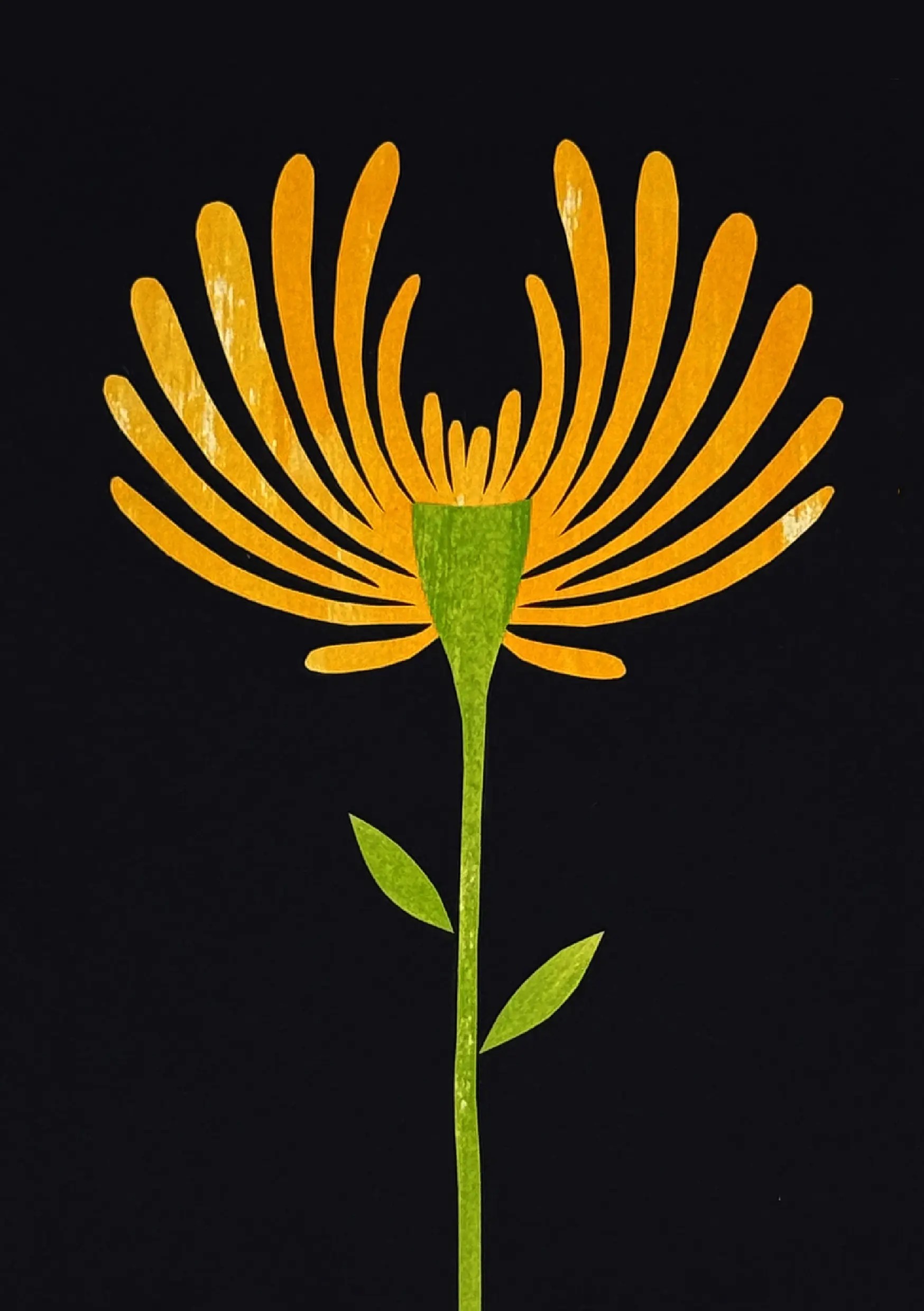 flor11
