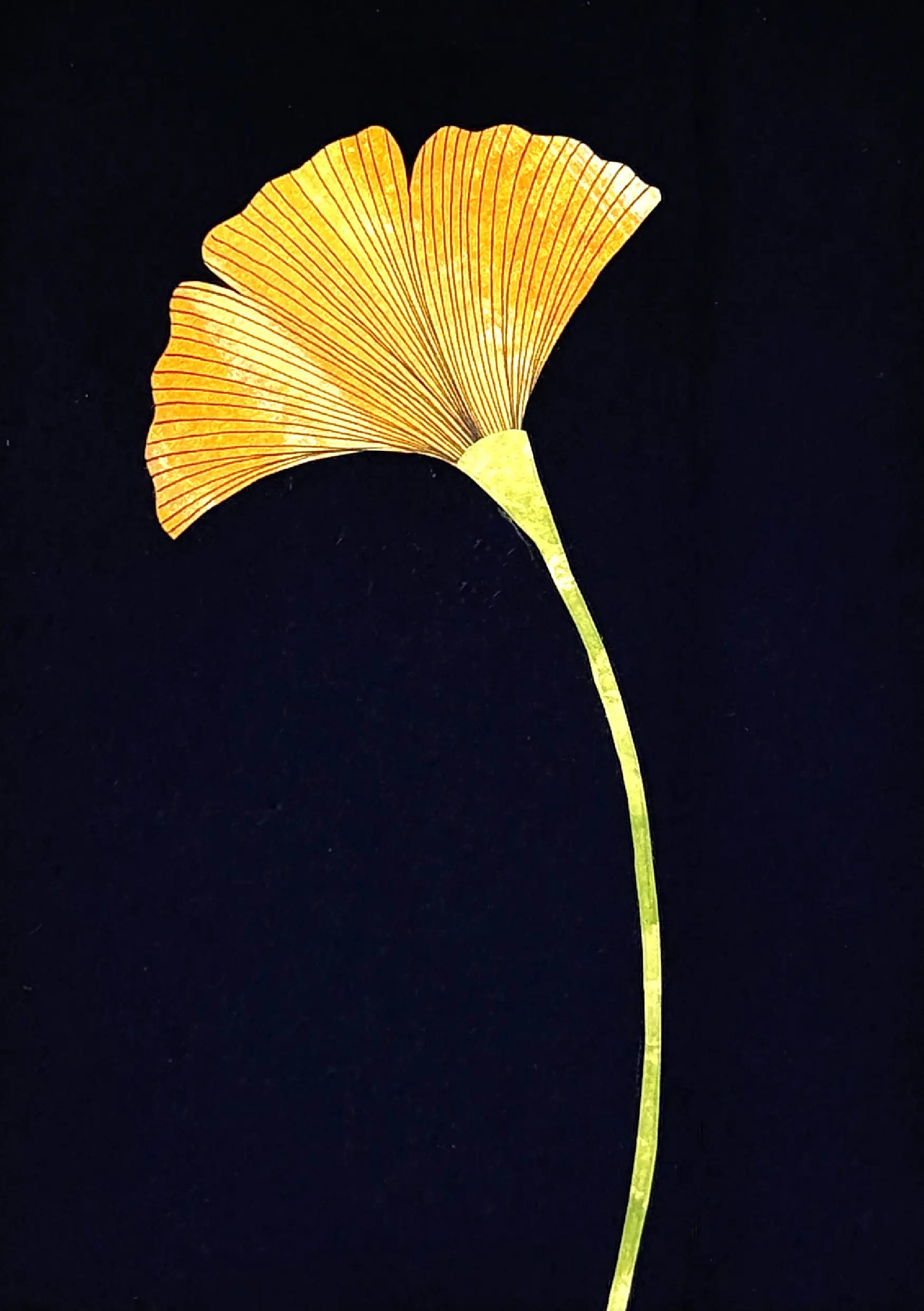 flor9
