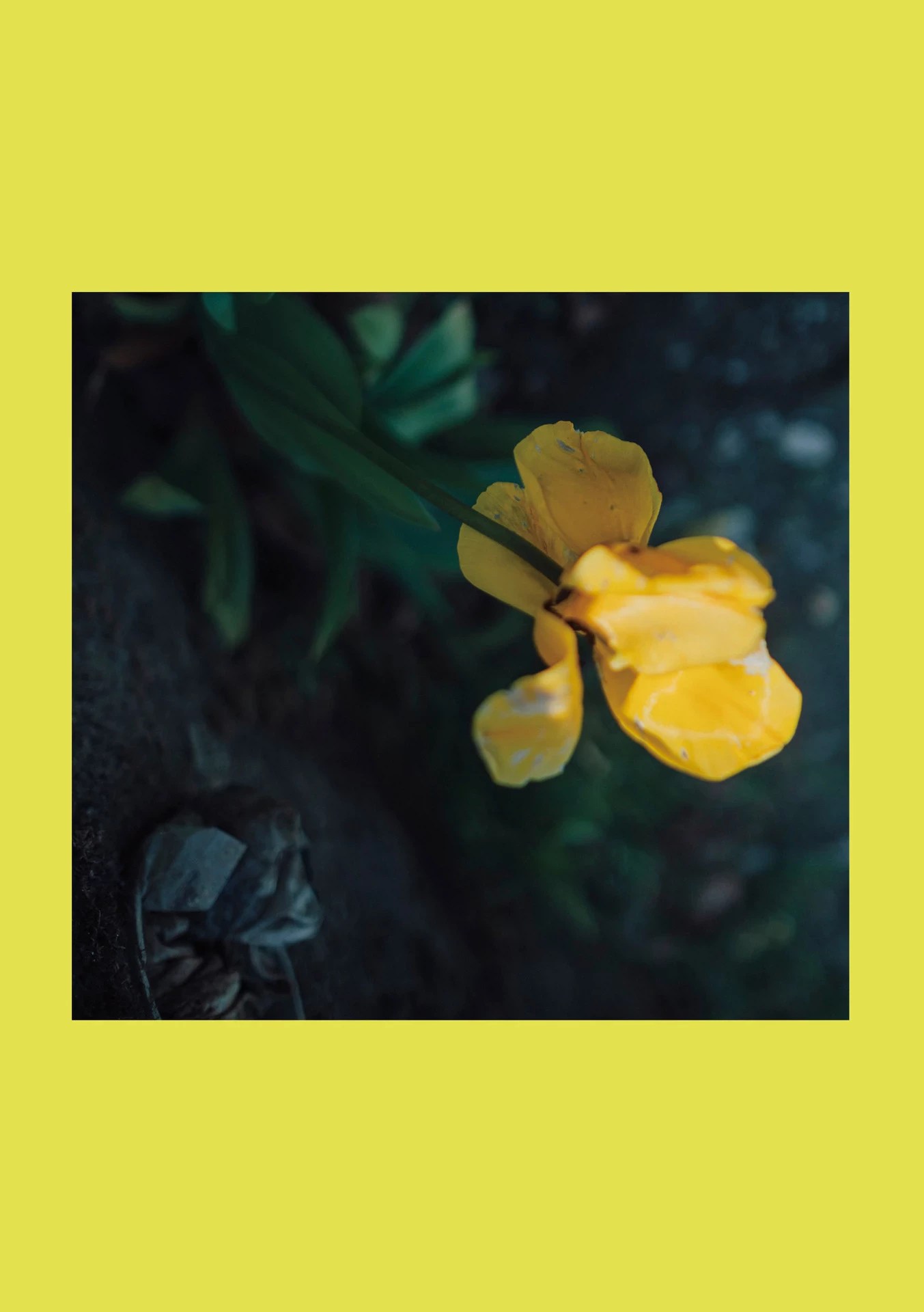 小島南(小島みなみ)[Photobook] デジタル寫真集 とられち(No Watermark) (148 Photos)