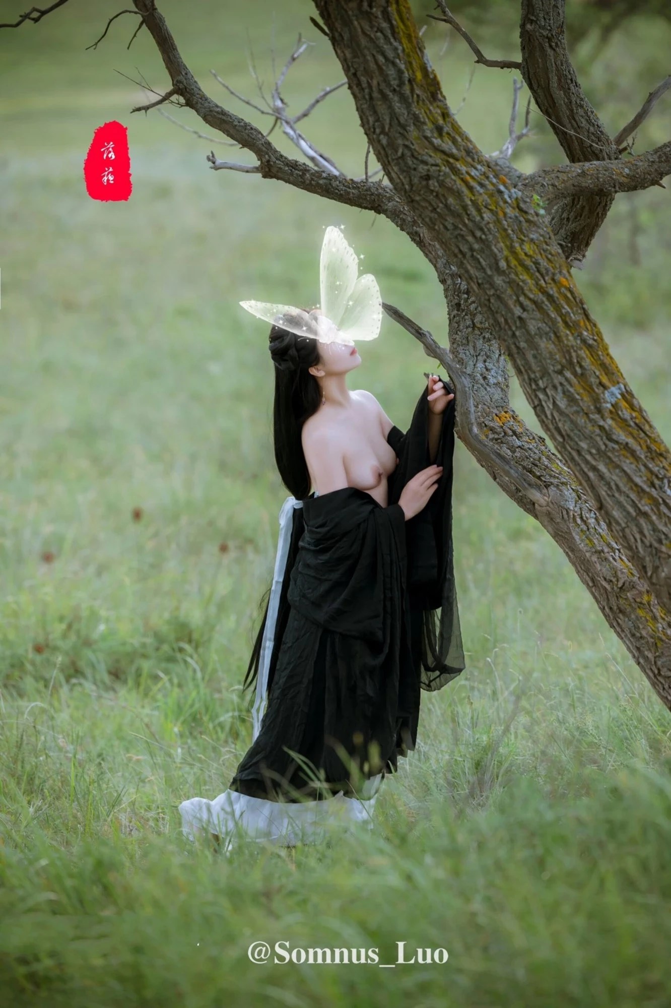 唯美攝影作品II (64 Photos)