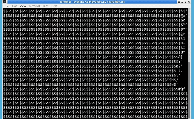 Project | Create Captivating ASCII Art Animations With OpenCV | LabEx