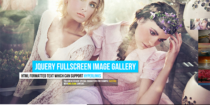 Full Img Gallery - Premium Nature Wallpaper Gallery - 4K