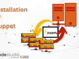 Installation Of Puppet Naukri Code 360