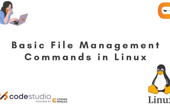 File Management Commands - Coding Ninjas