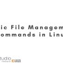 File Management Commands - Coding Ninjas