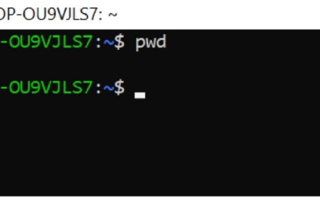 File Management Commands - Naukri Code 360