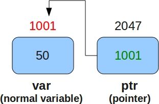 Comparing Pointers In Go Naukri Code 360 - Modern Desktop Ocean Backgrounds | Free Download