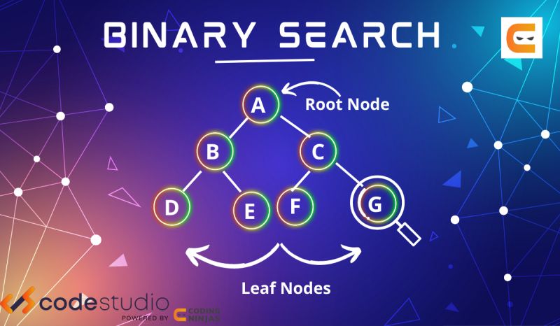 Std Vector Binary Search - High Quality Ocean Background - Retina