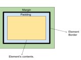 Css Padding Coding Ninjas