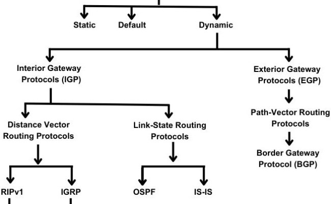 Routing Protocols - Coding Ninjas