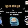 Difference Between Bugs And Errors - Naukri Code 360
