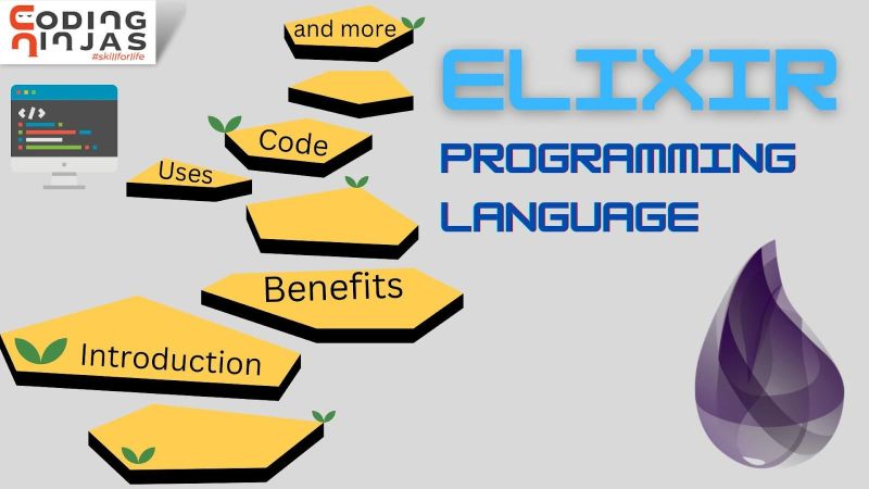 Elixir Programming Language Naukri Code 360 - City Arts - Professional 4K Collection