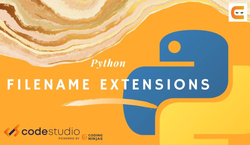 How To Get File Extension In Python Naukri Code 360 - Best Colorful Illustrations in Desktop
