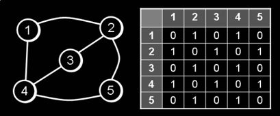 Implementation Of Graph In Java Naukri Code 360 - Creative Gradient Picture - HD