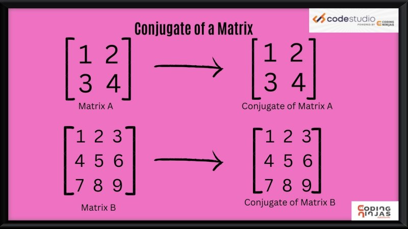 Introduction to Matrix Class - Naukri Code 360.
