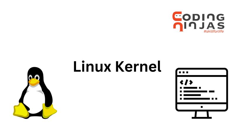 Kernel Naukri Code 360 - Best Nature Patterns in Retina