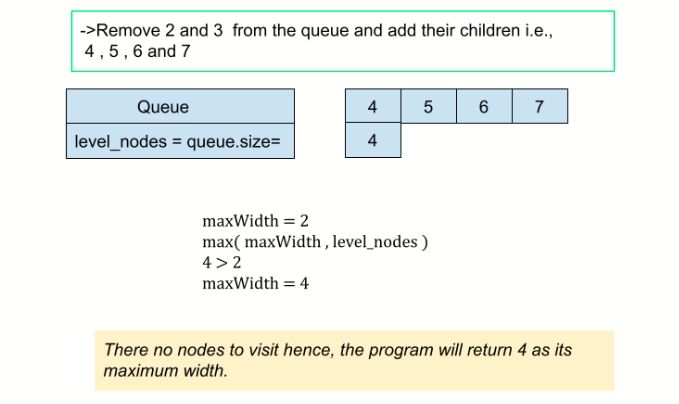 Maximum Width Of A Binary Tree Naukri Code 360 - HD Dark Illustrations for Desktop