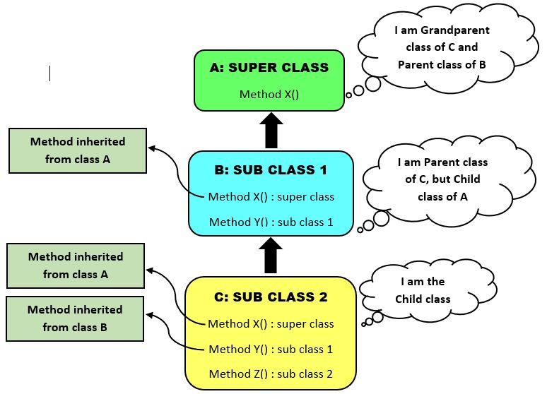 Multilevel Inheritance in Python - Naukri Code 360
