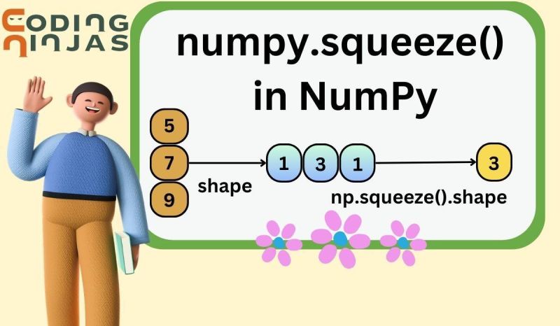 What Is The Numpy Squeeze In Numpy Scaler Topics - Download Classic Abstract Art | 4K
