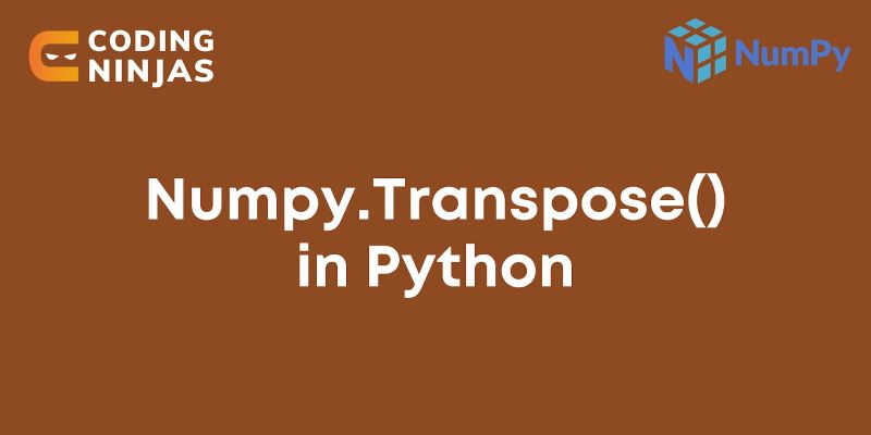 How To Use Pi In Python Naukri Code 360 - Download Classic Ocean Picture | Retina