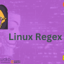 Linux Regex - Naukri Code 360