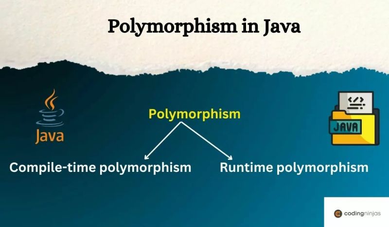 Polymorphism In Javascript Naukri Code 360 - Nature Background Collection - Retina Quality