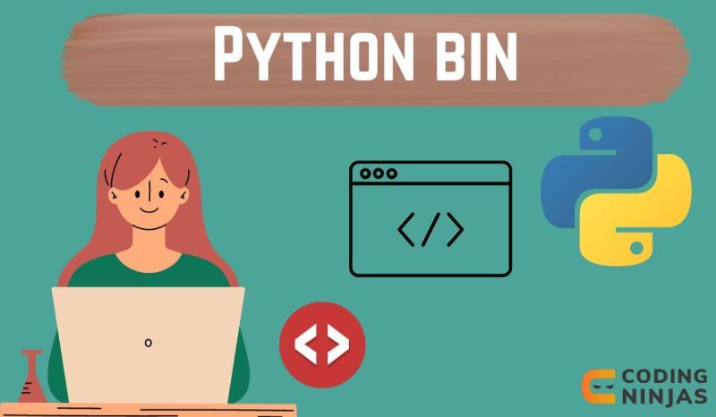 How To Use The Bin Function In Python Codespeedy - Full HD Colorful Textures for Desktop
