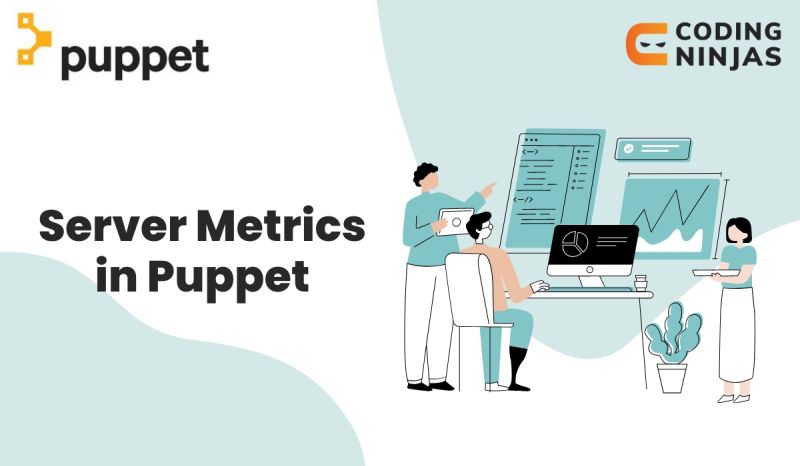 Getting Puppet Report Metrics From Puppetdb Dev Community - City Picture Collection - 8K Quality