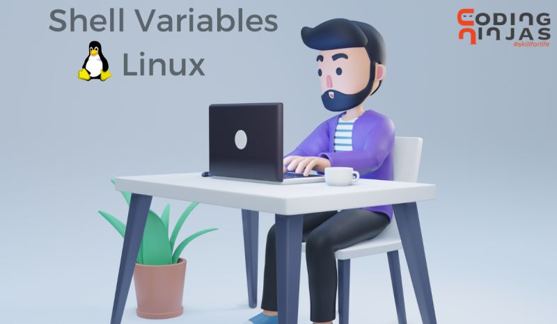 Comments And Variables In Shell Scripting Naukri Code 360 - Best Colorful Wallpapers in Mobile