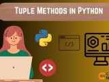 Tuple Methods In Python Naukri Code 360
