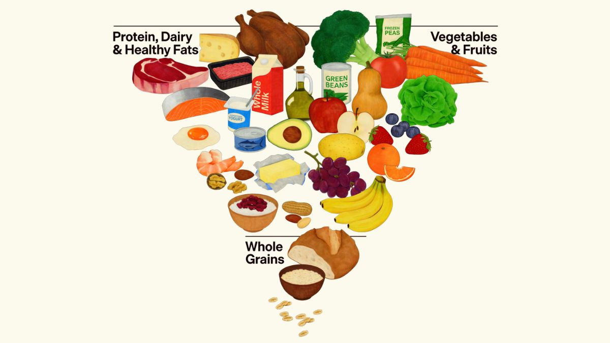What Is The New Food Pyramid 2026 Dietary Guidelines For Americans New Food Pyramid 2026 