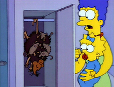 Simpsons possum