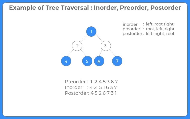 Java Program To Perform The Postorder Tree Traversal Geeksforgeeks - Creative Ultra HD Ocean Designs | Free Download