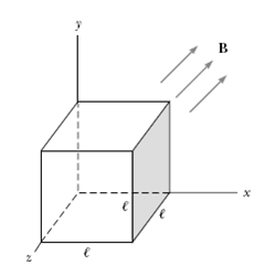 A Cube Of Edge Length L 2 50 Cm Is Positioned As Shown In Fig 3 20 A Uniform Magic Field Given Vec B 5 00 Hat I 4 00hat J 3 00hat K T Exists A Cube Of Edge Length L 250cm Is Positioned As Shown In Figure.