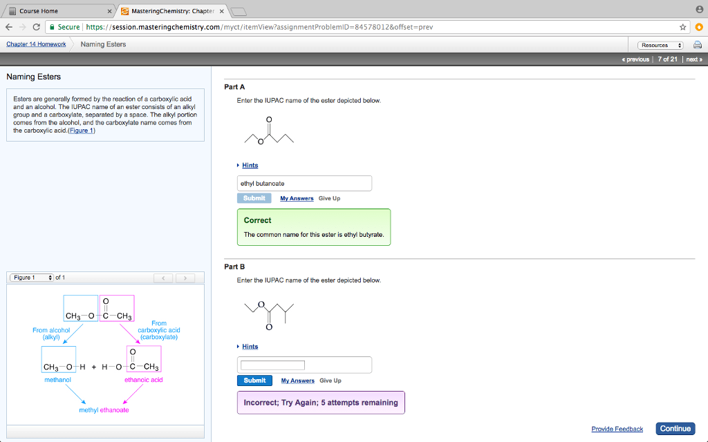 Enter The Iupac Name Of The Ester Depicted Below Gy Chegg Learn this topic by watching Naming Esters Concept Videos.